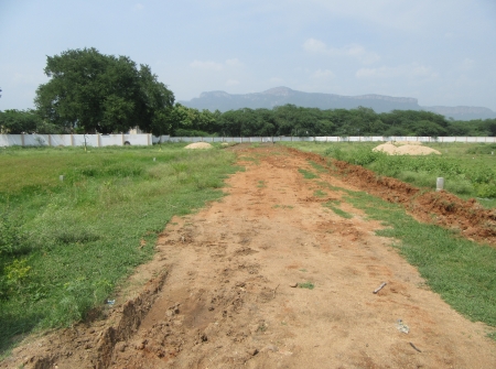 1) Li Id 252 - Pic 2.JPG